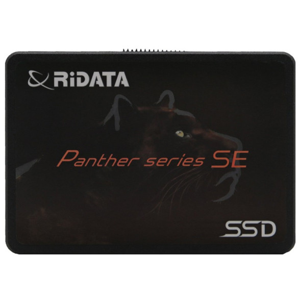 حافظه SSD ری دیتا RiDATA PANTHER 120 GB