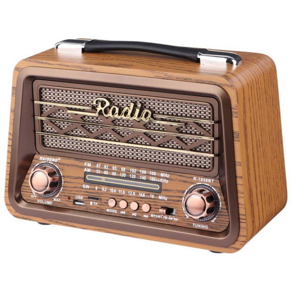 رادیو اسپیکر بلوتوثی Raiseng مدل R-1957BT