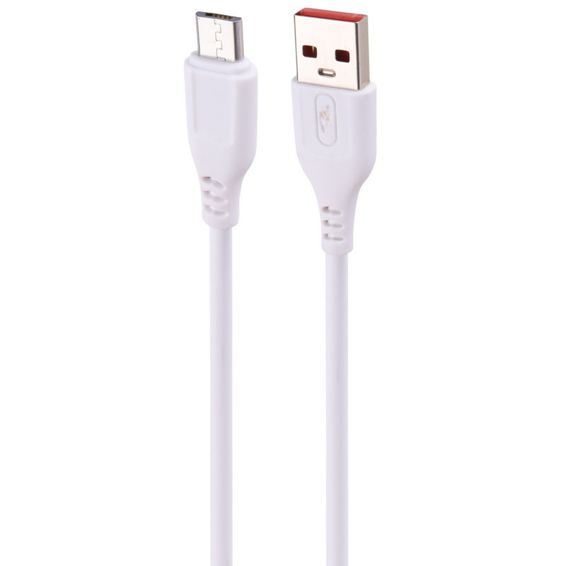 شارژر دیواری فست شارژ 12 وات SkyDolphin مدل SC36V با کابل Micro